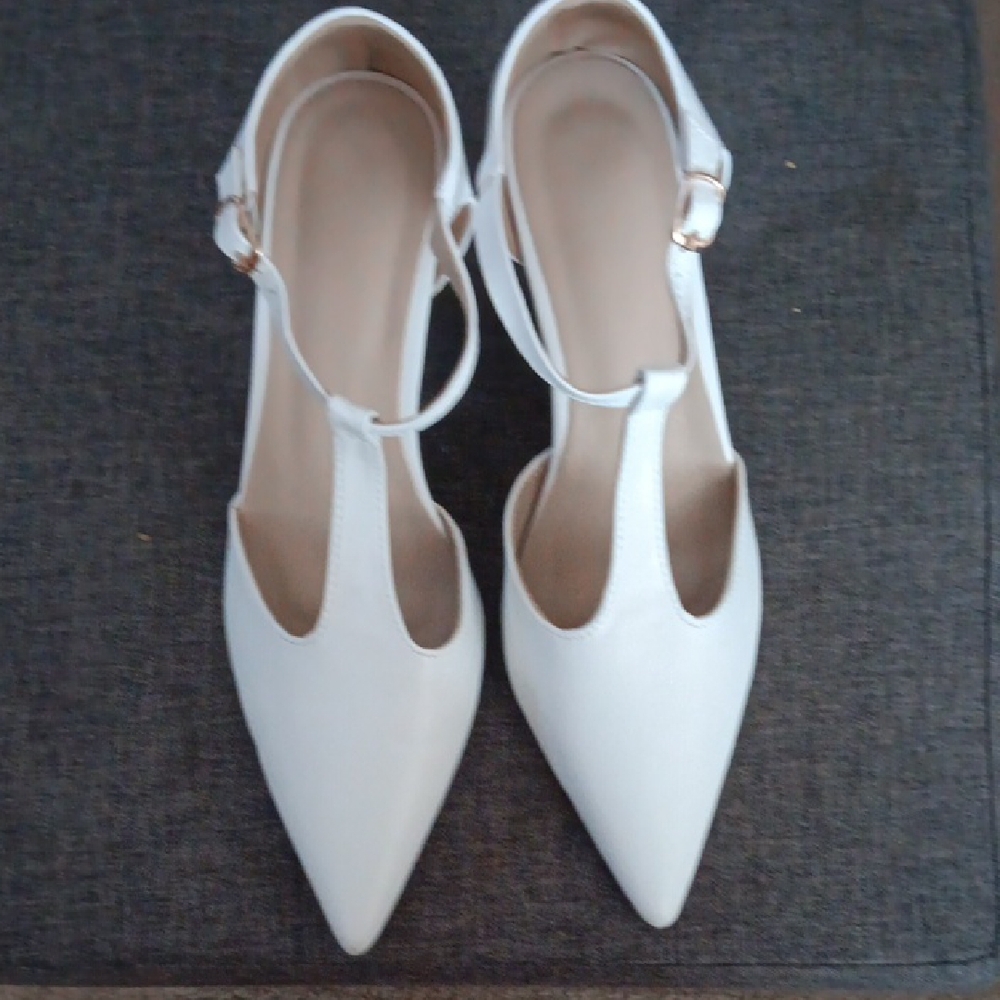 Pointy Toed  Shoes